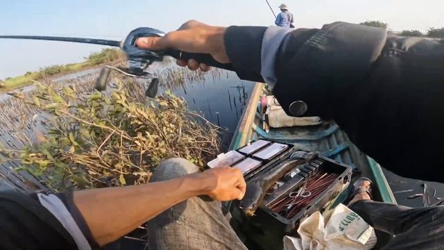 Fish Fishing for Black Snakehead Fish in Tonle Sap Great Lake of Cambodia смотреть онлайн
