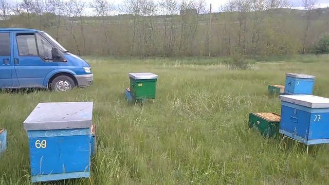 Установка корпусов на улей // роевые маточники. смотреть онлайн