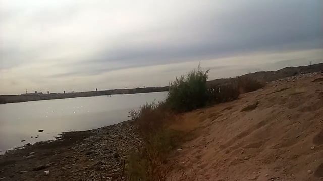 Giant bird sighting 15'-25' wingspan! Pelagornis? смотреть онлайн