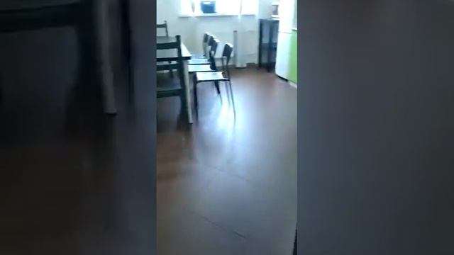 15 сентября 2022 г. смотреть онлайн