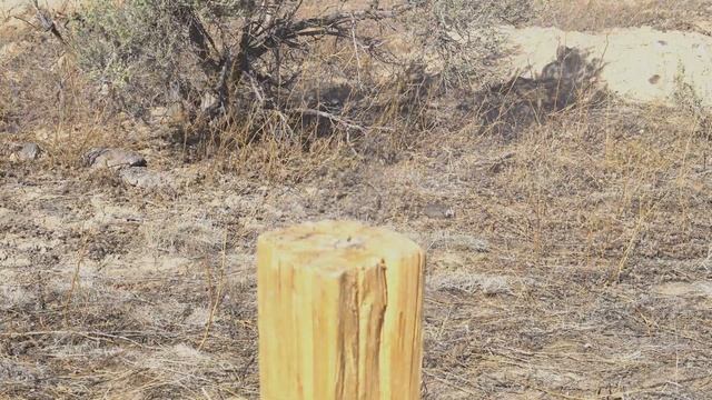 Shooting Through another SCOPE W/AR-15 DDM4V11 Rifle смотреть онлайн