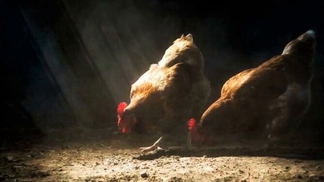 Солнце любят все смотреть онлайн