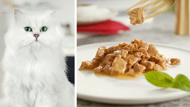 Purina Gourmet MonPetit смотреть онлайн