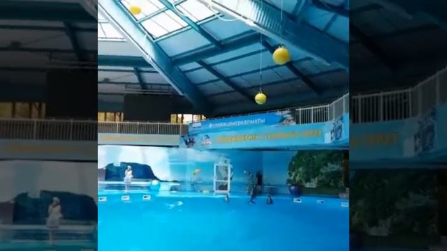 Школьный лагерь Престиж "Волшебная страна". 2 сезон смотреть онлайн