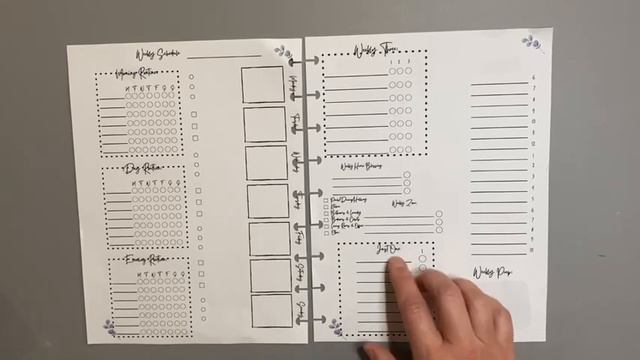 This Week’s Planner Inserts Added to My Shop || Weekly Routines and Home Care System смотреть онлайн