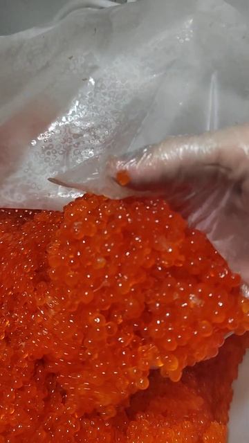 икра горбуши Павлово Камчатка соль 2,8% смотреть онлайн