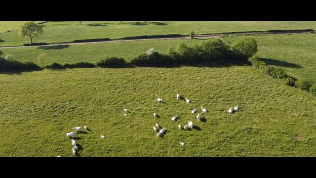 Landscape Drone and more in Luxemburg 4K - Music : Erick Serna - Fire away смотреть онлайн