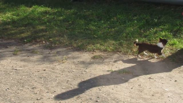 Три месяца чишатам. В продаже. смотреть онлайн