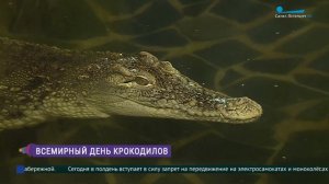 Всемирный день крокодила