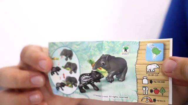 Russian Kinder Surprise with TAPIR. Who is TAPIR? смотреть онлайн