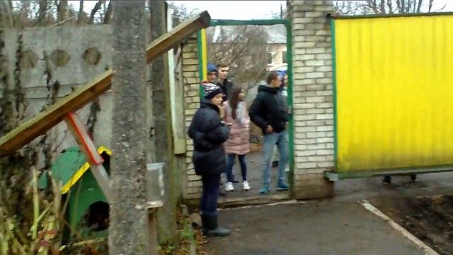 ВелесЛайв смотреть онлайн