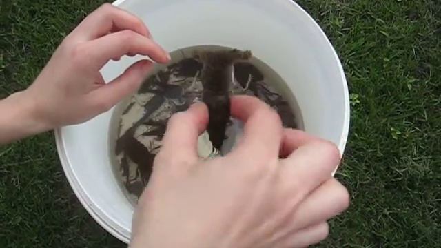 Veziai (crayfisf, crawfish or crawdads) смотреть онлайн