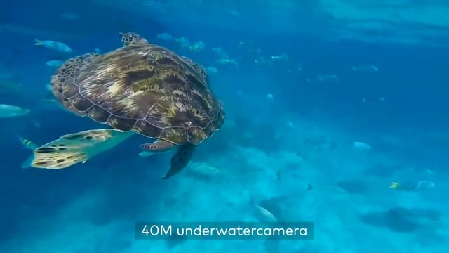 [ AC700 ] Victure Action Camera смотреть онлайн