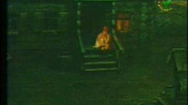 Daydi To'tining Qaytishi