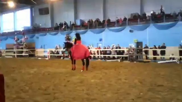 Это не девочка это беда / лошади смотреть онлайн