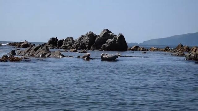 Ларги на Пяти пальцах смотреть онлайн