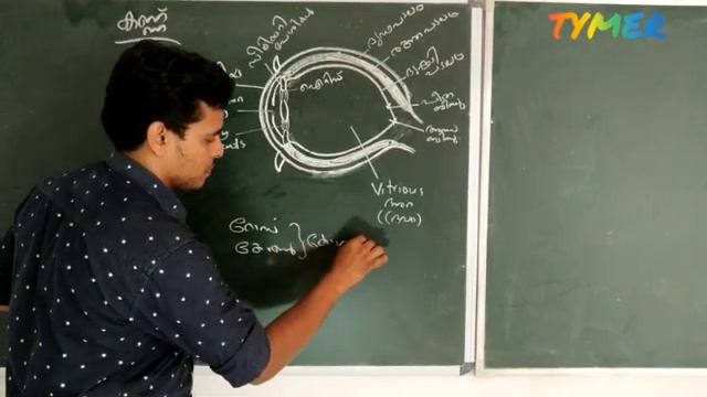 കണ്ണ് -അറിയേണ്ടതെല്ലാം. വളരെ സിംപിൾ ആയി മനസ്സിലാക്കാം смотреть онлайн
