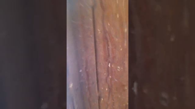 Мой питомник. смотреть онлайн