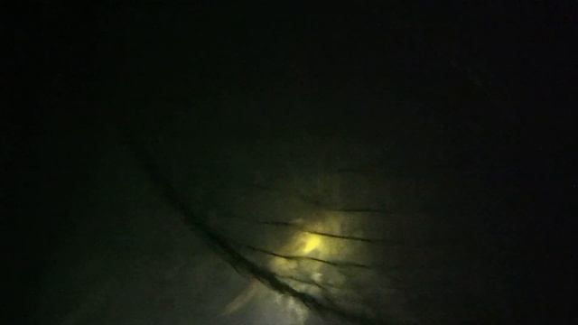 イワトコナマズ смотреть онлайн