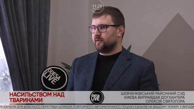 Адвокат Григорій Биков про притягнення до відповідальності за жорстоке поводження з тваринами. смотреть онлайн