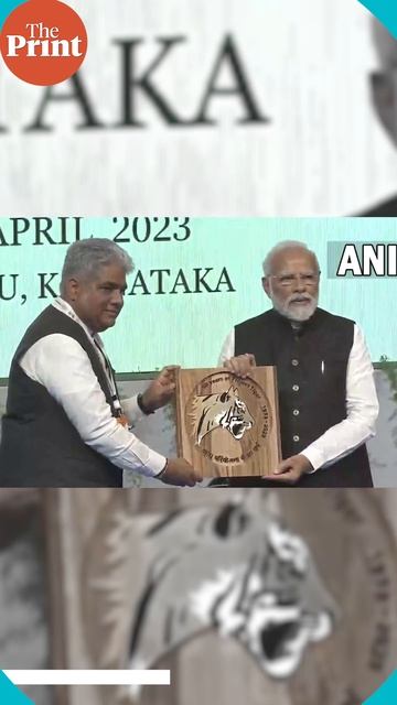 What is the International Big Cat Alliance announced by the Cabinet? смотреть онлайн