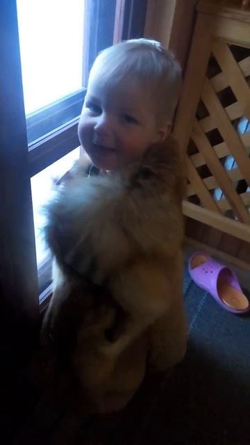 Царь Лев смотреть онлайн