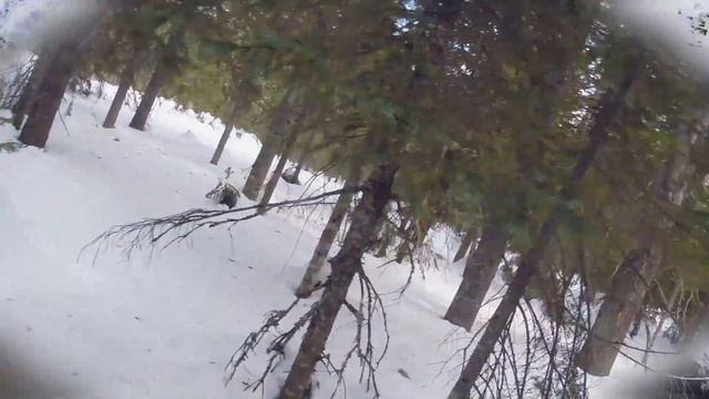 2014_03_30 - На лыжах за фабрику смотреть онлайн