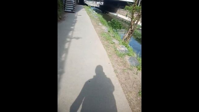 Самостоятельная прогулка по Сеулу. Осмотр ближайших окресностей смотреть онлайн