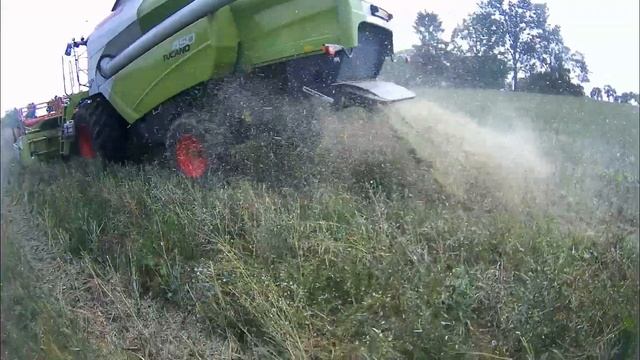 [GoPro] žně řepky CLAAS TUCANO 450 a kultivace CASE IH смотреть онлайн