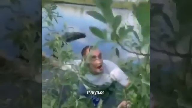 Хамелеон Валера нарик смотреть онлайн