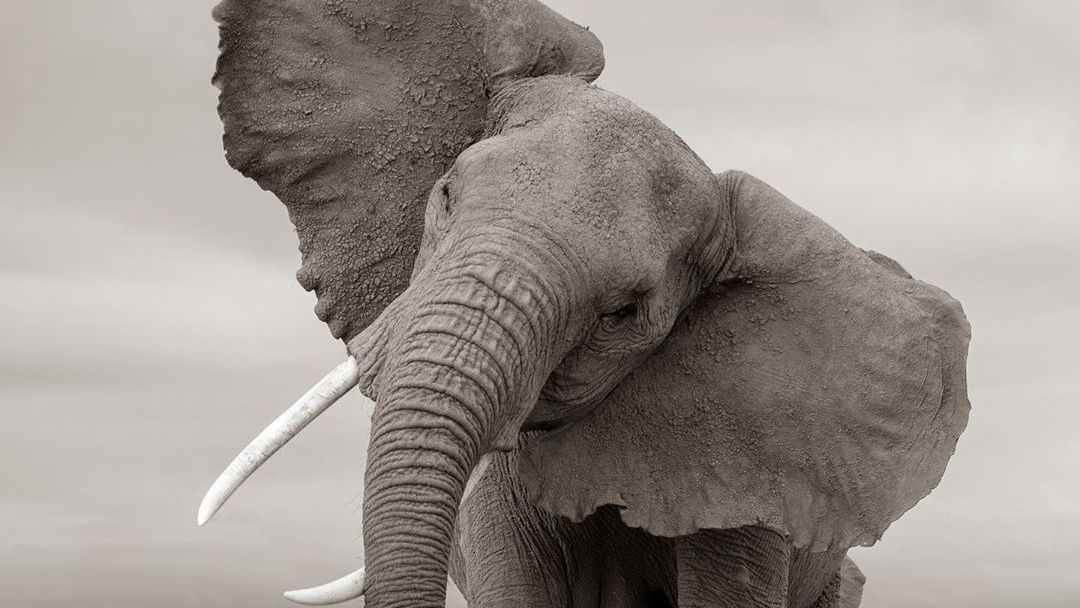 Ответ соседям. Топот три часа. смотреть онлайн