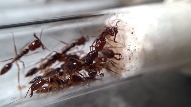 Êtes-vous prêt à me suivre en 2024 ? смотреть онлайн