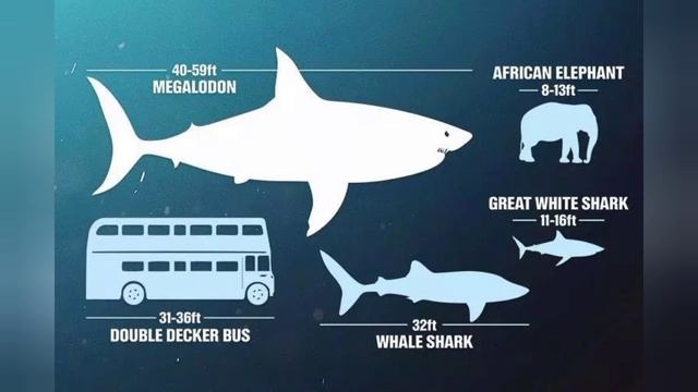 quién era el megalodon смотреть онлайн