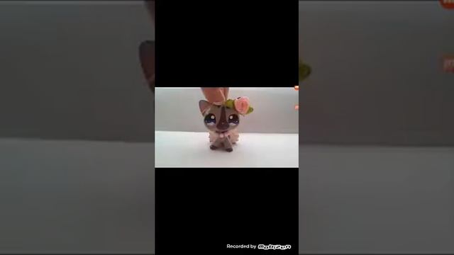 Канал КОДИ читать описание ! смотреть онлайн