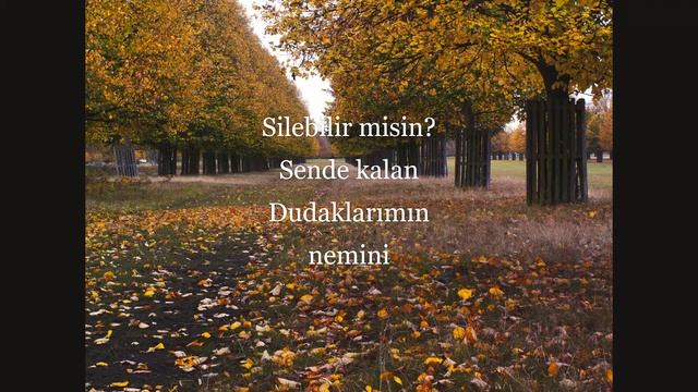 ver bana düşlerimi (sözleri) смотреть онлайн