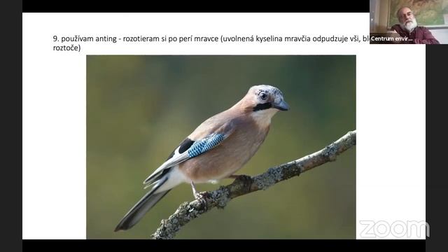 Biomimikry смотреть онлайн