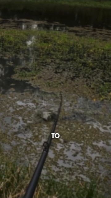 Temu frogs pt. 2!!!!! 😲#bassfishing #shorts смотреть онлайн