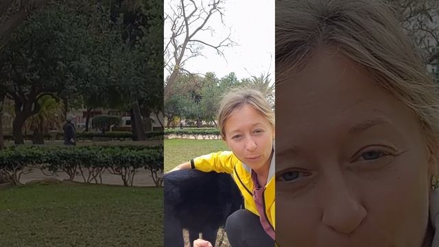 Вас ждёт увлекательное путешествие! ⚘️⚘️⚘️ майский челлендж 📚 задание № 1 смотреть онлайн