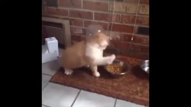 Зажигай смотреть онлайн