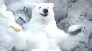 Реклама экзо 2008