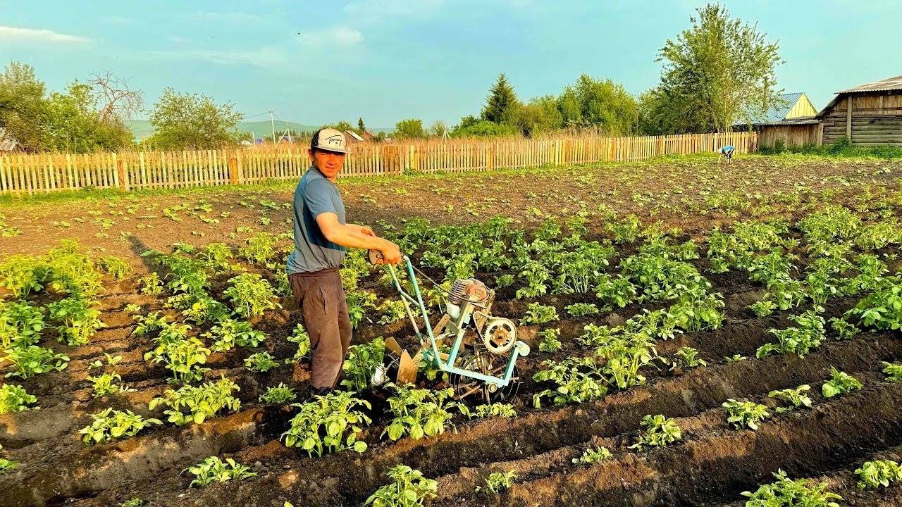 МОТООКУЧНИК В ДЕЛЕ. ОГОРОД СЕЙЧАС НЕ ПРОБЛЕМА. ДАЛЕЕ ОТПРАВЛЯЕМСЯ НА РЫБАЛКУ. РЫБАЛКА СПИНИНГОМ. смотреть онлайн