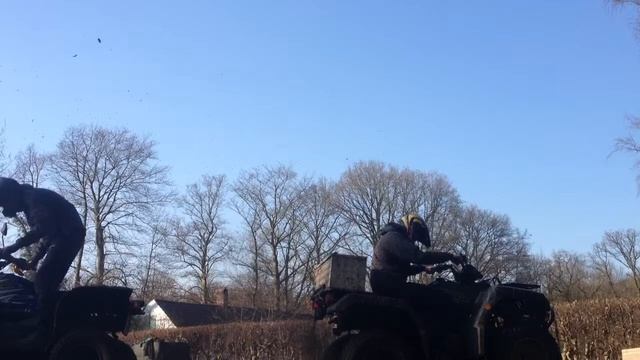 Polaris scrambler 500 4x4 vs yamaha grizzly 600 4x4 смотреть онлайн