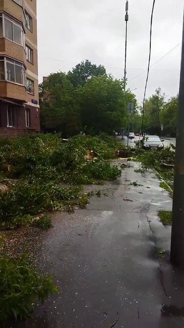 Последствия шквала в Москве смотреть онлайн