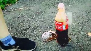 Взрываю колу ментосом со вкусом колы