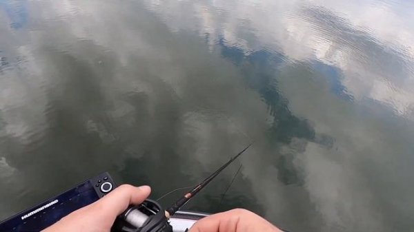 Testing Out Humminbird Mega Live