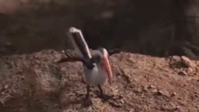 Hans Zimmer - Remember From "The Lion King" (Art Music And Movies) смотреть онлайн