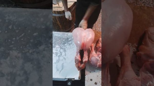 Индейка разделка