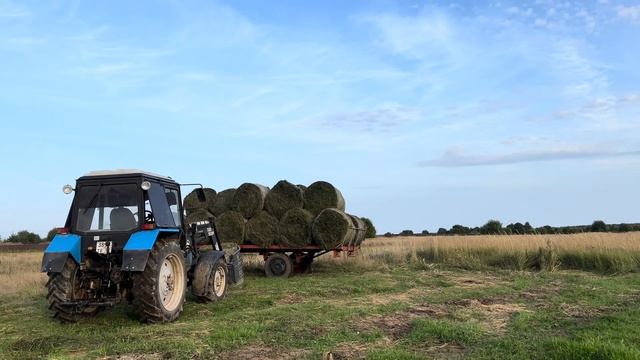 Заготовка сенажа 2024 на Молодой Ферме! Три трактора в поле, научили работать маму на новом тракторе смотреть онлайн