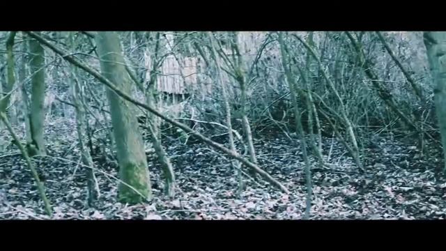 Airsoft at NTAC February 4, 2017 Defense (EDIT) смотреть онлайн