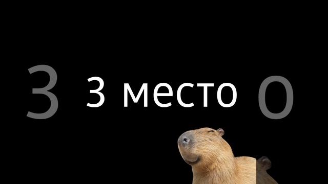 Топ 5 капибар и все смотреть онлайн